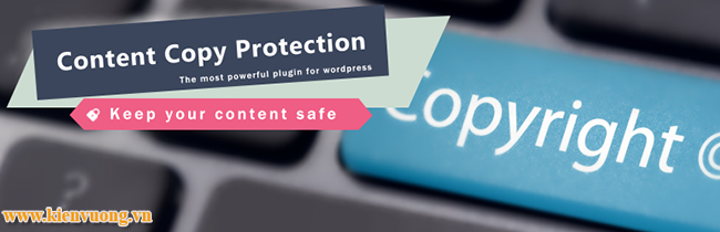 Plugin WP Content Copy Protection & No Right Click