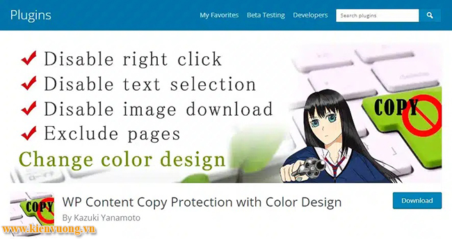 Plugin WP Content Copy Protection With Color Design